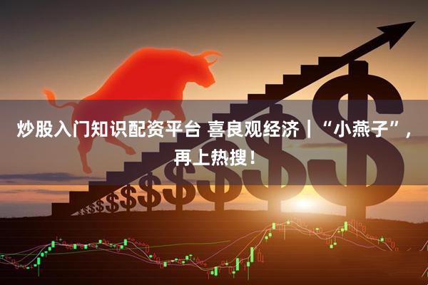 炒股入门知识配资平台 喜良观经济｜“小燕子”，再上热搜！