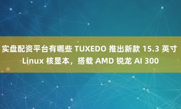 实盘配资平台有哪些 TUXEDO 推出新款 15.3 英寸 Linux 核显本，搭载 AMD 锐龙 AI 300